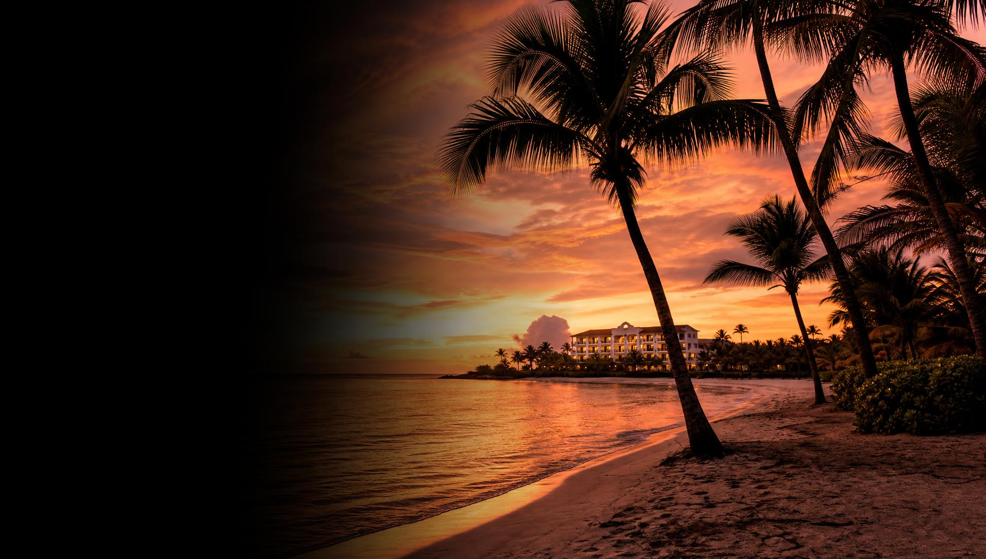 Rosewood Hotels sunset beach with palm trees and a distant high-rise